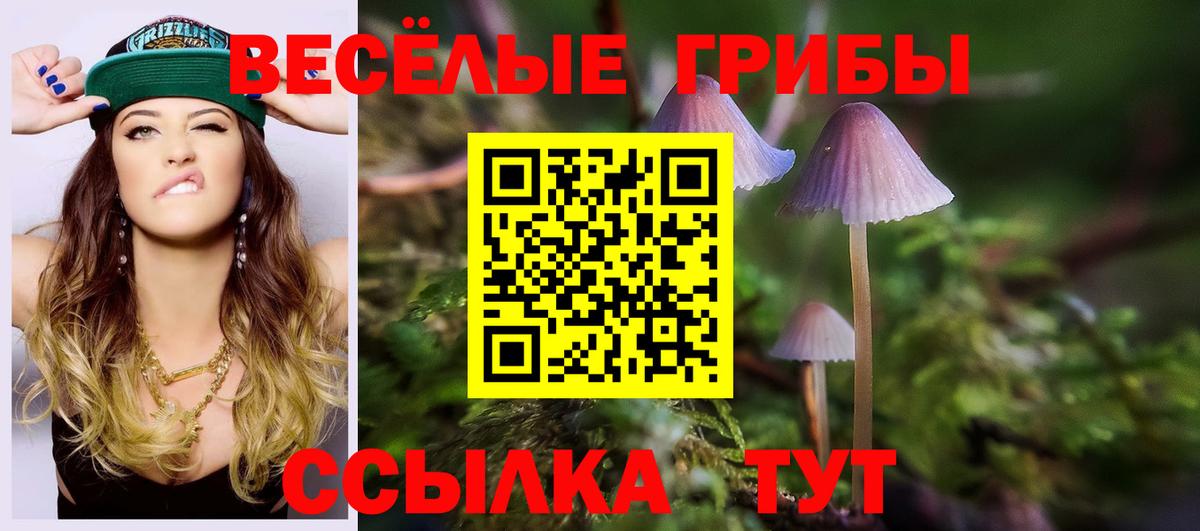 Псилоцибиновые грибы Psilocybine cubensis Мценск